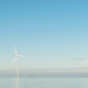 an image of off shore wind turbines